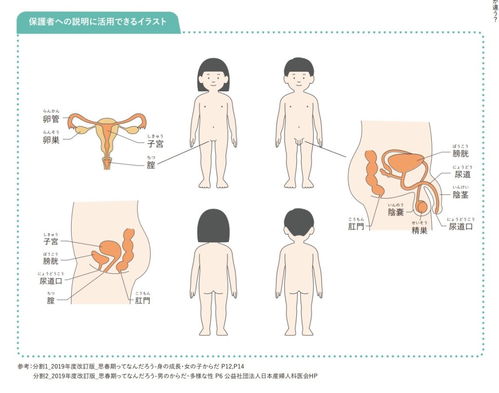 おちんちんを洗わないと、病気になる？ | セイシル