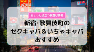 立川・八王子のセクキャバ＆いちゃキャバおすすめ7選！ | よるよる