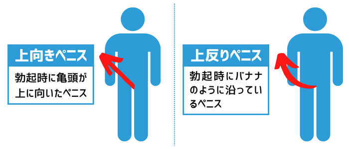 上反りちんこが女性を中イキさせる理由を画像でわかりやすく解説｜裏垢男子で年収2000万