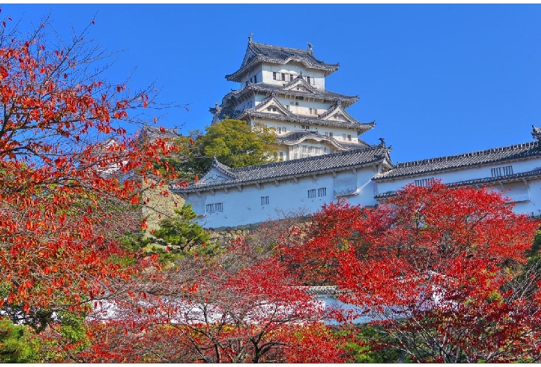 気分はまるで竜宮城！？水槽喫茶キャッスル | sudsappが投稿したフォトブック |