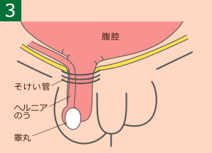 男性の弱点「金玉」は最大の快感装置！SMチックな責めばかりではない「金玉プレイ」の魅力とは!? | 日刊SODオンライン