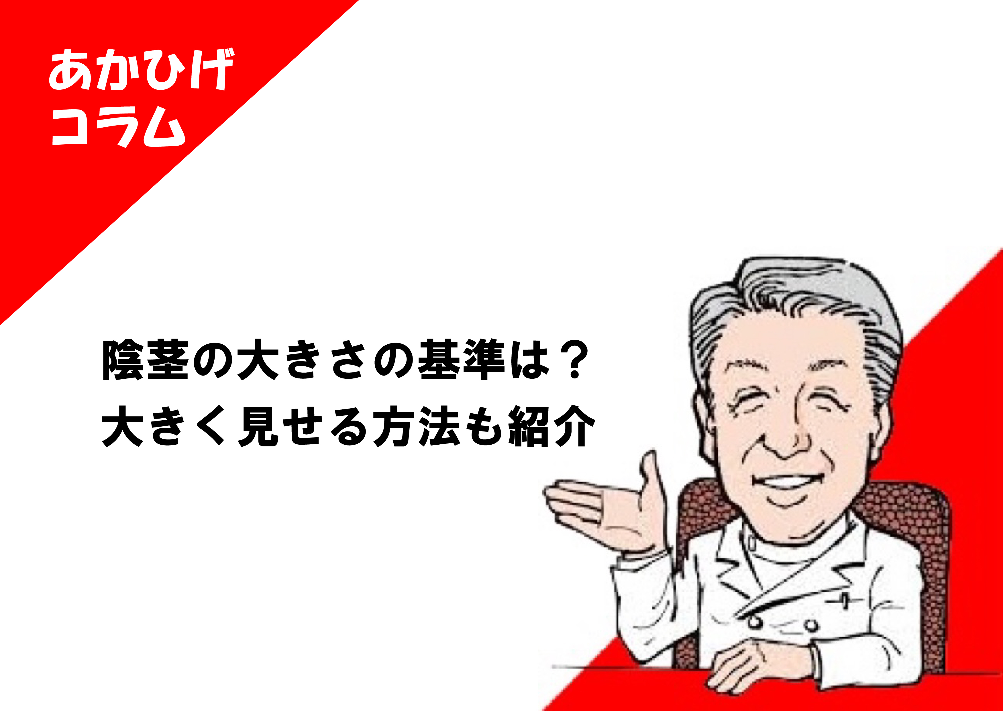 ペニスの構造や勃起の仕組みは？平均サイズ【医師監修】 - 夜の保健室