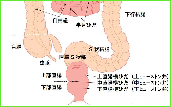 全部18禁】奥までズチュンッッ!!!結腸・尿道・前立腺全部責めBL、ここにあります｜BLニュース ちるちる