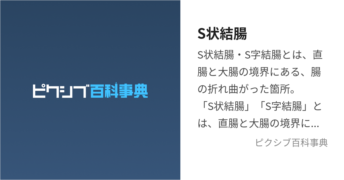 極生尻 深田えいみ[引取無料]丨大人のおもちゃとアダルトグッズ専門店ワイルドワン