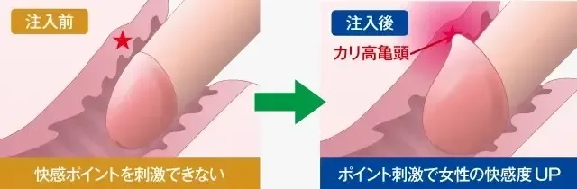 亀頭の平均と女性の理想のサイズは？大きくする方法7個 | STERON