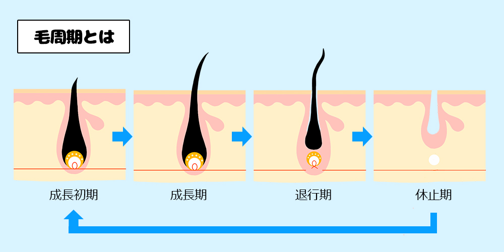 ブラジリアンワックスサロン特集-waxxxx アカデミー認定サロン-｜ビューティーパーク