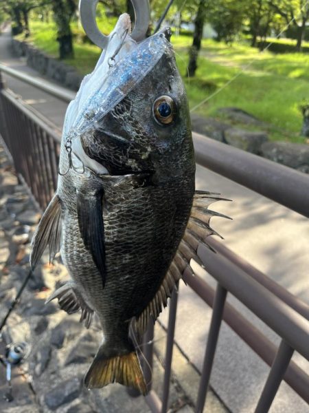 諸国寺社旧跡めぐり 豊前国2 百体神社、隼人と傀儡』宇佐・豊後高田(大分県)の旅行記・ブログ by