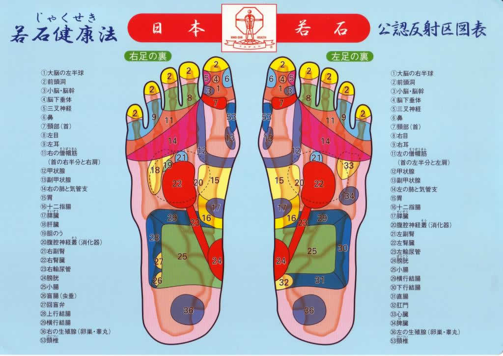 リフレクソロジーとは？主な種類と得られる5つの効果について紹介 | モアリジョブ