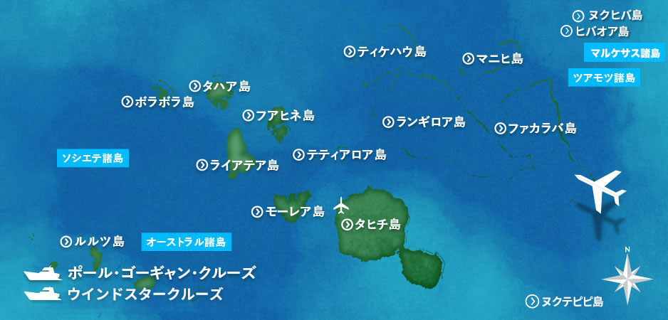 C.T.plage(シーティー・プラージュ)のラクーンフォックスクルーネックニット通販 eclat premium（エクラプレミアム）