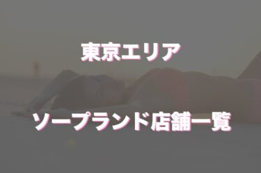 吉原「将軍」ソープランドの評判・口コミは？おすすめ嬢や料金を体験談から解説 | Mr.Jのエンタメブログ