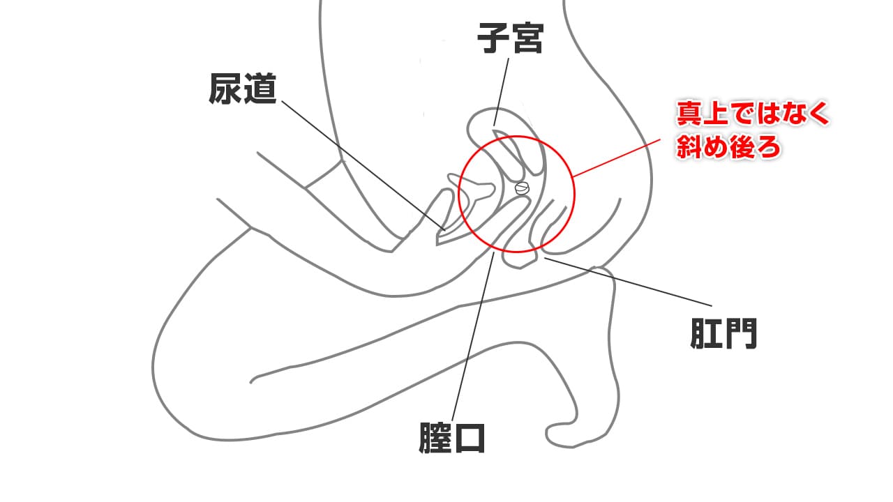 のけ反り絶頂する敏感娘の上付名器 - オナホール | 大人のデパート