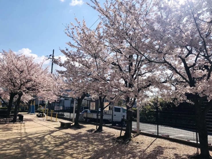 うだつが上がる。 | 姫路市・加古川市周辺でおしゃれな注文住宅を建てるならヤマヒロ