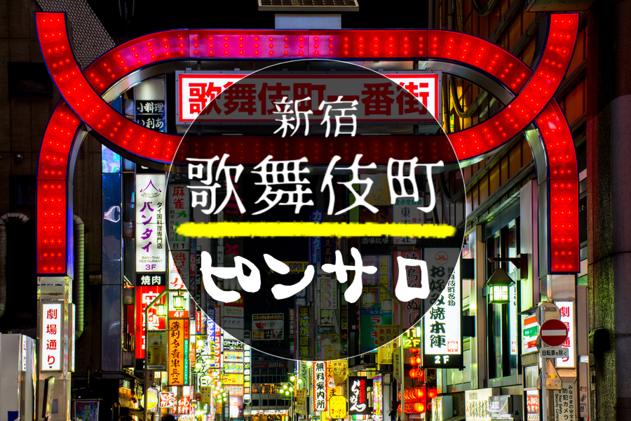 ピンサロ 風俗求人・高収入アルバイト情報｜びーねっと