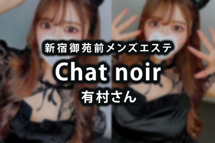 Chat noir (シャノワール)