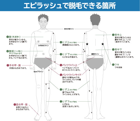 Epi (エピ)のリアル口コミ体験談を掲載中｜メンエス