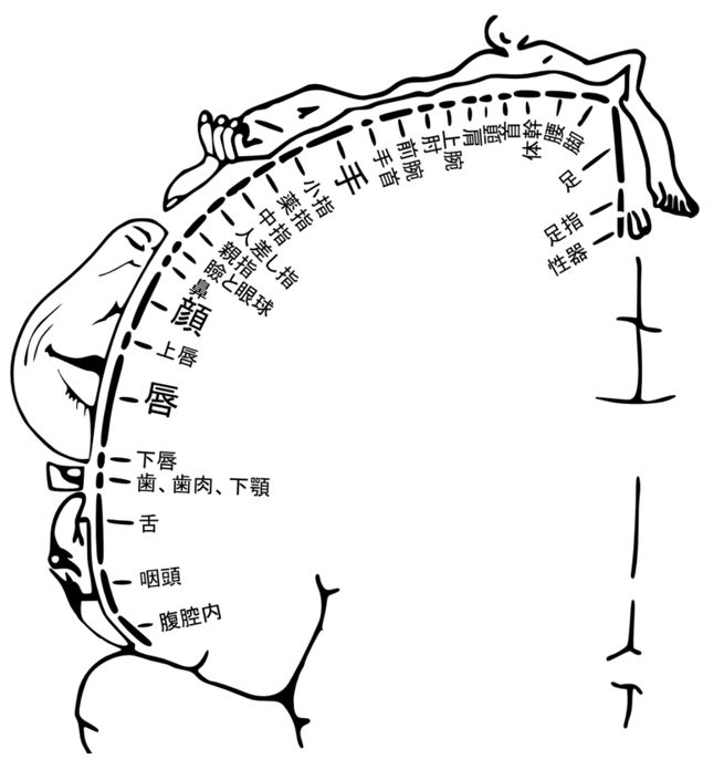 女医が教える 本当に気持ちのいい乳首責め〜乳首を執拗に触診される猥褻クリニック〜 [被支配中毒] |