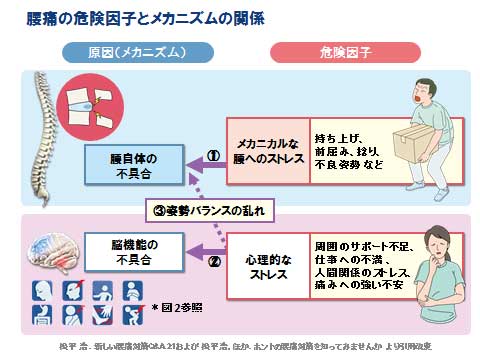 着る筋肉”で力仕事も楽々！ 腰痛持ちの男たちよ、マッスルスーツはいかが？