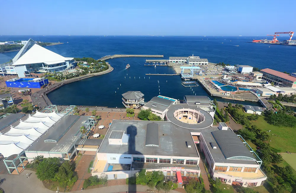 海・島・生きもののテーマパーク｜横浜・八景島シーパラダイス - YOKOHAMA