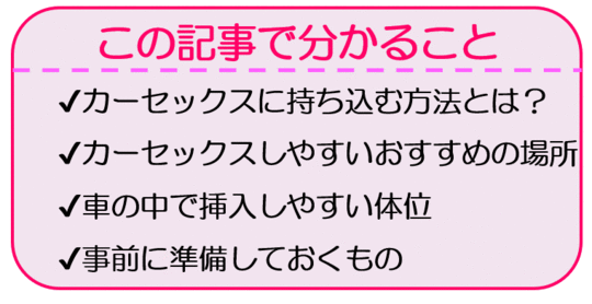 エロ漫画・カーセックススポットを探す独自の方法 : エロ漫画無料アダルト裏モノJAPAN