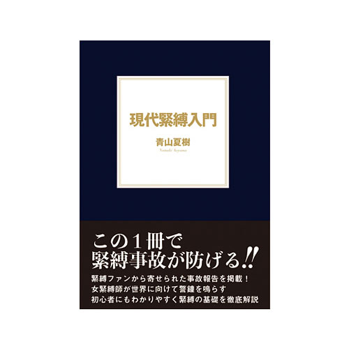 Yahoo!オークション -「入門」(本) (アダルト)の落札相場・落札価格