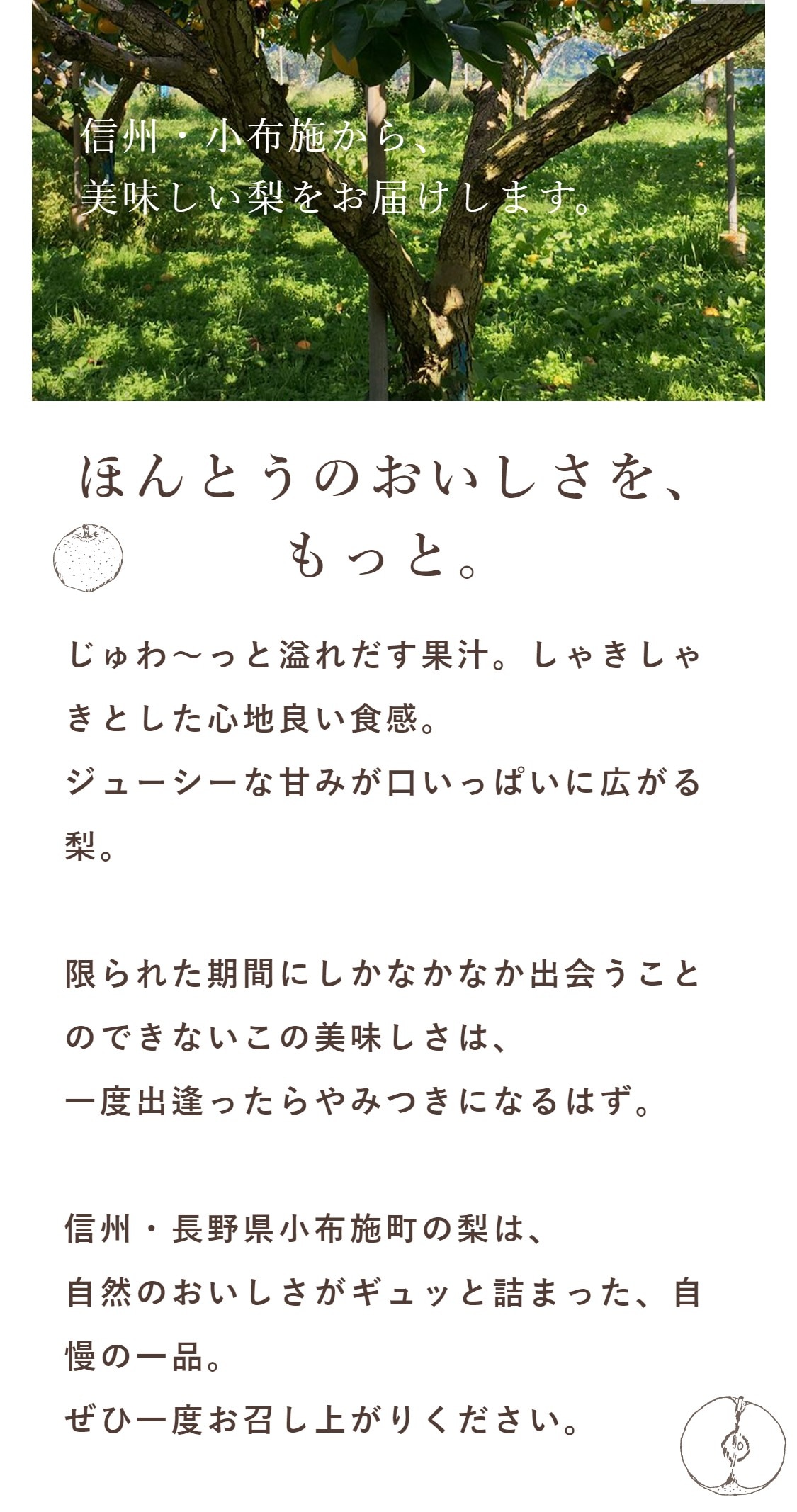 熟すのを待っている、木からぶら下がっている緑色のジャックフルーツ。そのとがった外観と大きいサイズはそれを印象的なトロピカルフルーツにします。の写真素材・画像素材  Image