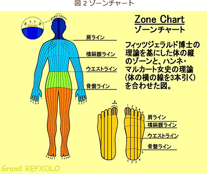 リフレクソロジーとは│リラクゼーションサロン クイーンズウェイ