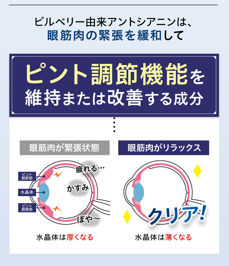 めなり極で目のかすみ・ぼやけは改善しない？口コミ評判を徹底調査！ | 美容ライター