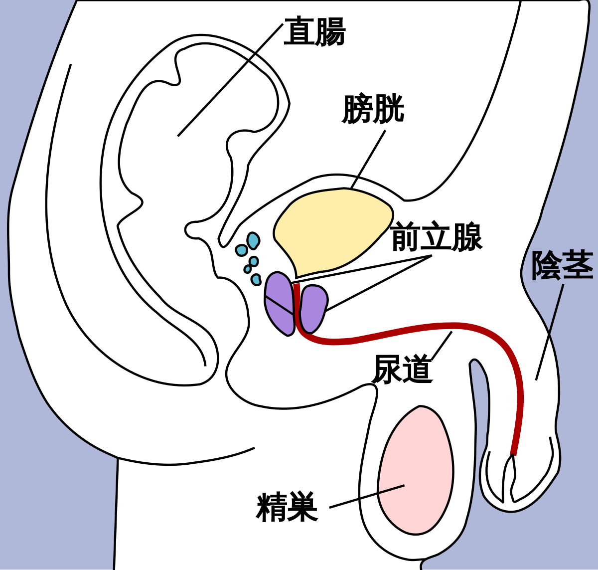 巨乳女子校生達に拘束されてチンコ弄られまくったり部室で逆レイプされて中オリジナル＜DISTANCE エロ漫画・エロ同人誌｜エロコミックハンター