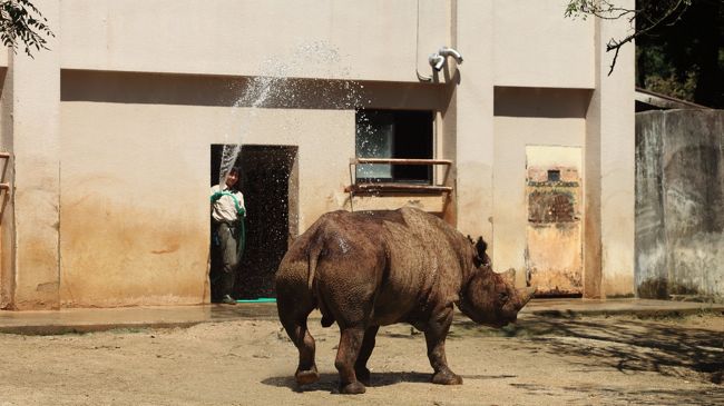 ひとり旅 ［824］ ２５年？ぶりに安佐ZOOへ。動物たちを乱写してきました～♪＜広島市安佐動物公園＞広島市安佐北区』安佐(広島県)の旅行記・ブログ  by