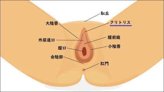 ポルチオセックスのやり方！ ポルチオ開発で奥イキするコツ※体験談あり | シンデレラグループ公式サイト