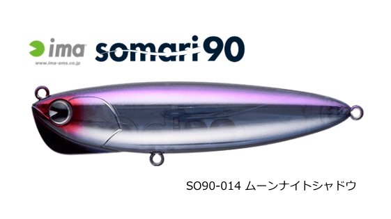 さすけ氏のシーバス釣行記:ソマリ90