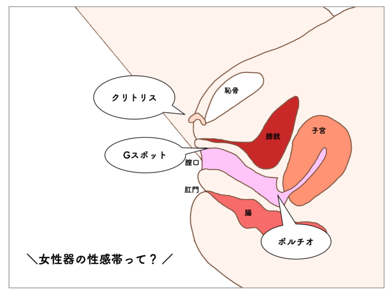 【28万人調査】「実は女が1番気持ちいいプレイ8選」聞いてみたよ