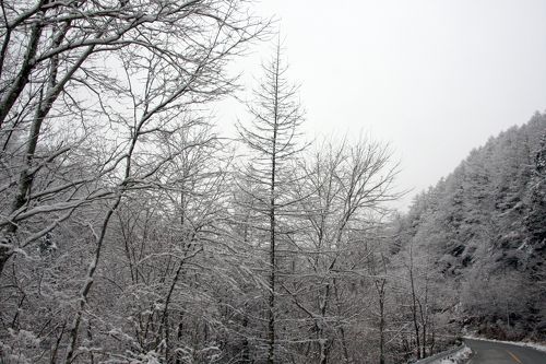 雪景色みながらのドライブ・青梅街道』勝沼・塩山(山梨県)の旅行記・ブログ by ゆっきさん【フォートラベル】