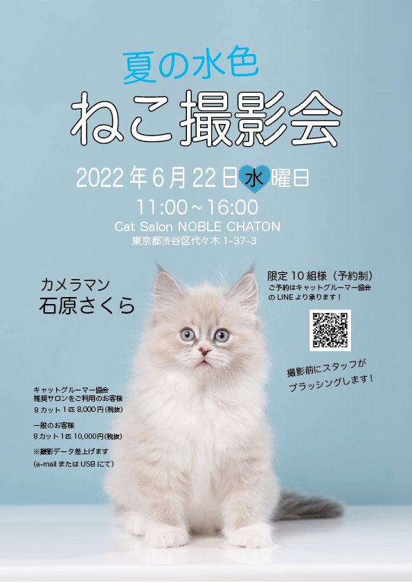 PR〉猫カメラマン石原さくらさんの「猫が幸せになる」こだわりの新居を拝見！｜ねこのきもちWEB MAGAZINE