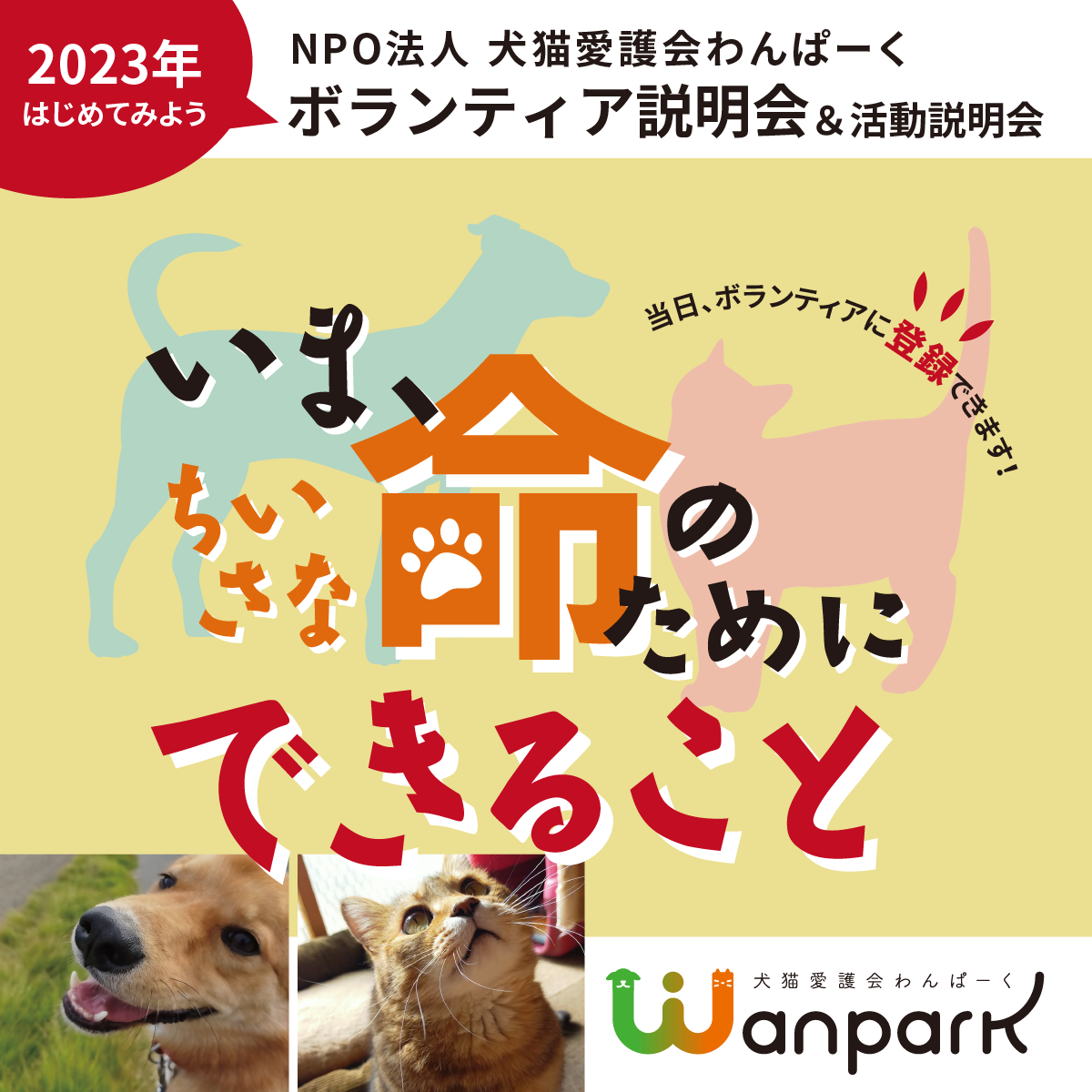 いろいろな思いが交錯する師走 少しでも犬や猫のためになることを |