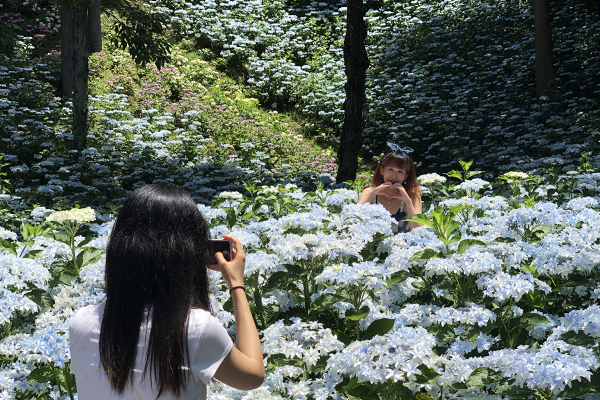 池袋西武屋上庭園 鶴仙園 行って来ました.′.′｜🍀GreenSnap（グリーンスナップ）