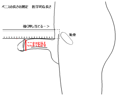 チントレの新着記事｜アメーバブログ（アメブロ）