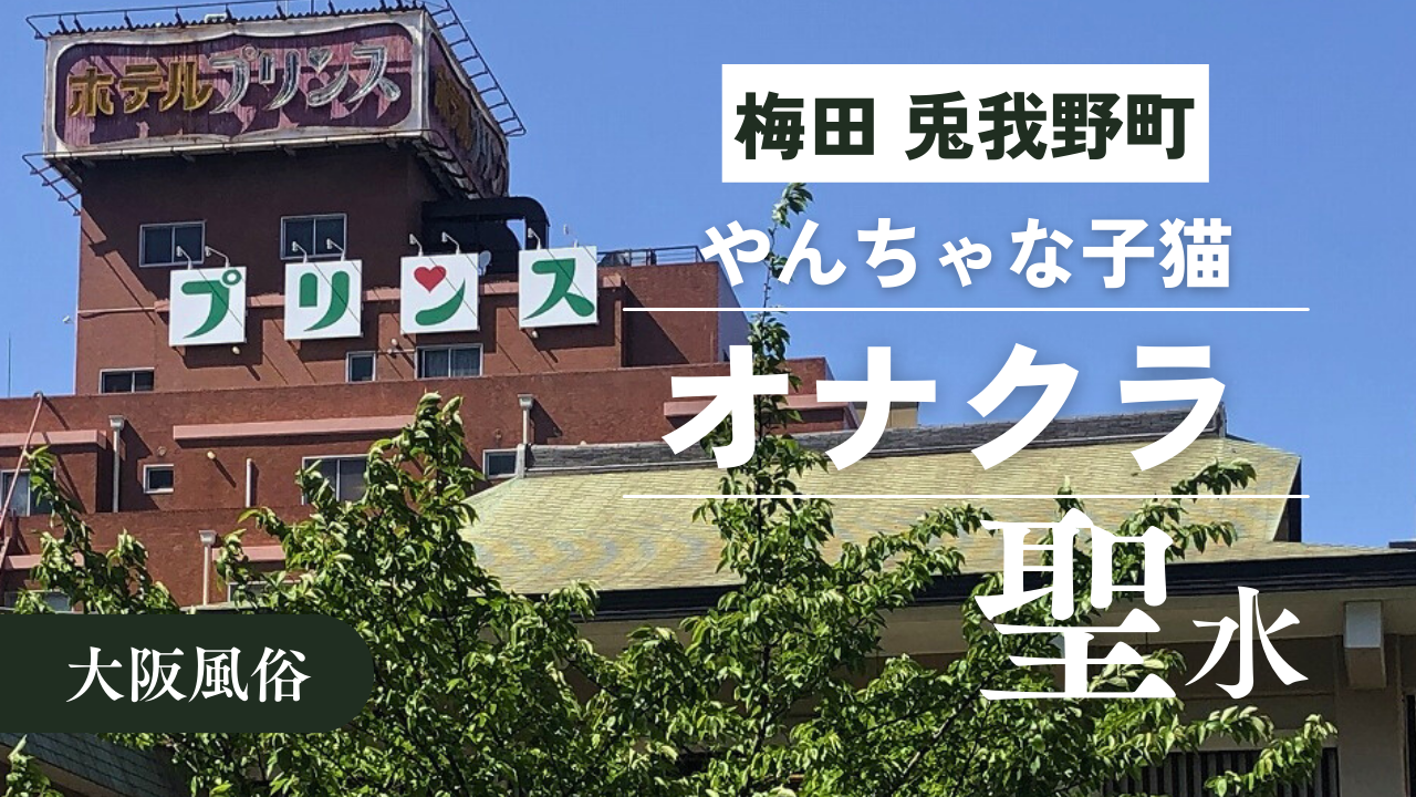 やんちゃな子猫】大阪梅田 兎我野町の風俗 |