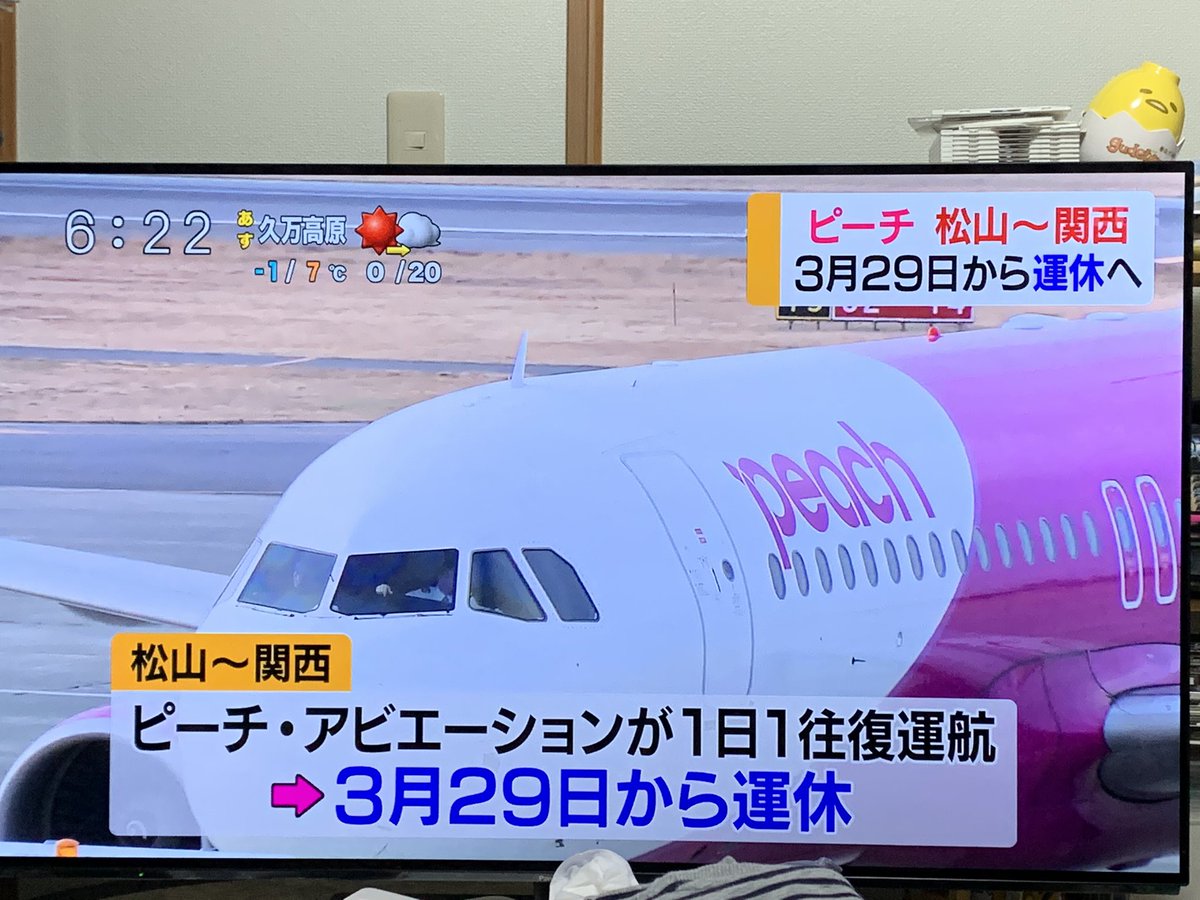 ピーチ(Peach)の国内線格安チケット予約・空席照会｜格安航空券モール