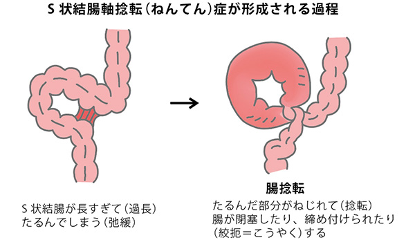 S級美女のエロ画像！あふれ出る人生勝ち組感ｗ