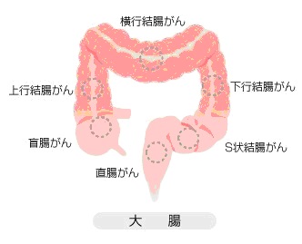 性豪S女の絶倫SEX[DMBI-006]: 【ジャネス・未来：フェチサイド】: M男系,大槻ひびき,星崎アンリ,風見渚,有村千佳,宮下つばさ,杏樹,性豪 S女の絶倫SEX: XCREAM