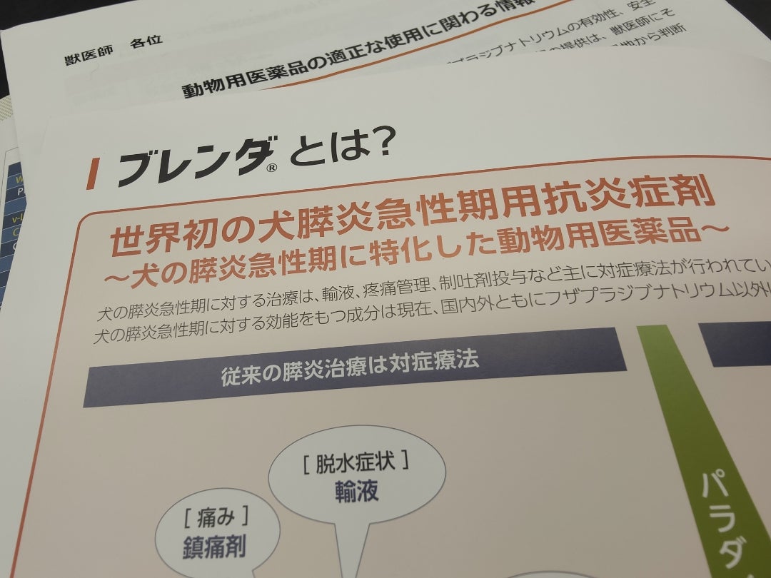 獣医師監修】犬の膵炎はどんな病気？症状や原因、治療費・治療法なども紹介！｜MOFFME