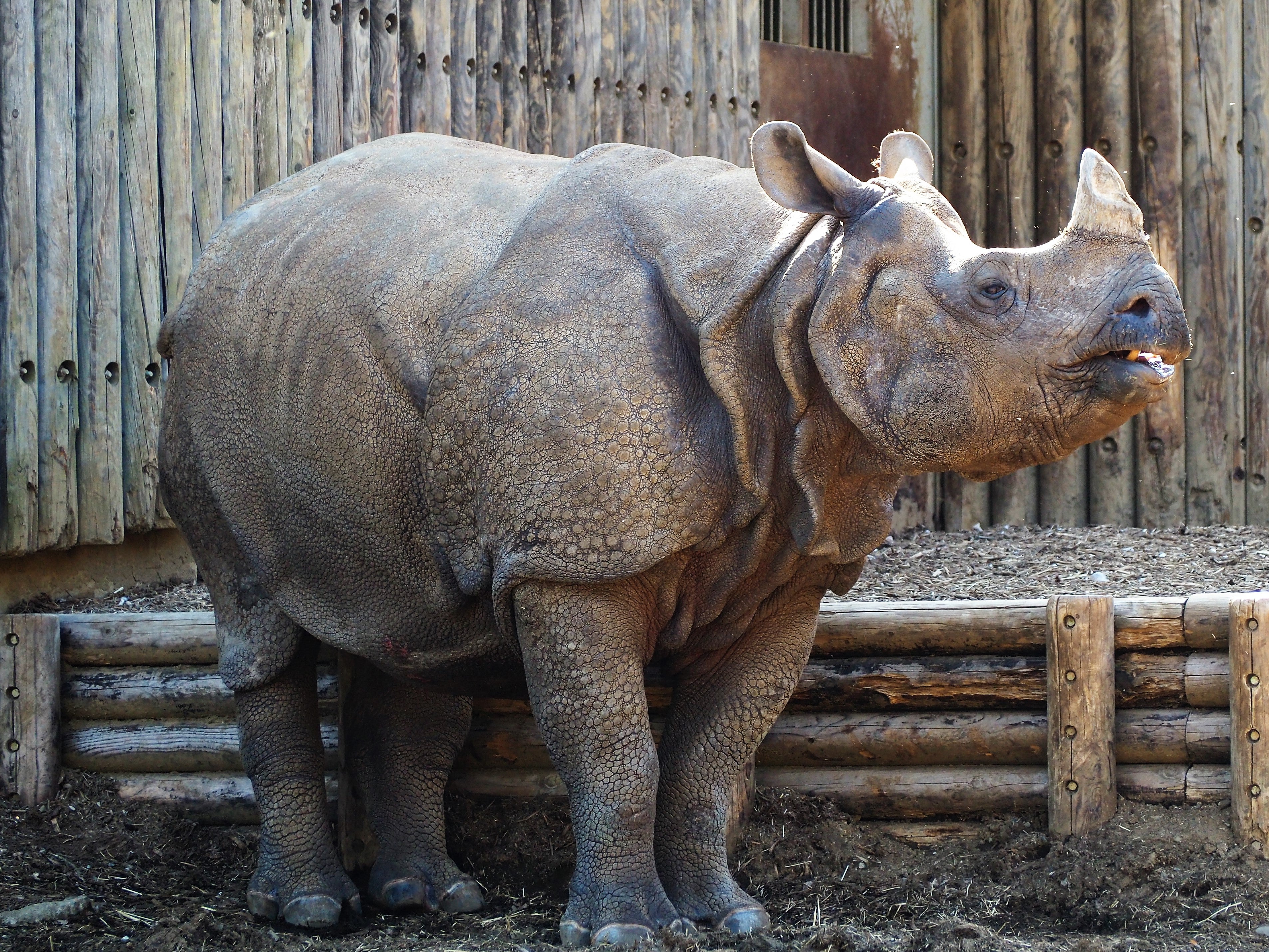 ひとり旅 ［824］ ２５年？ぶりに安佐ZOOへ。動物たちを乱写してきました～♪＜広島市安佐動物公園＞広島市安佐北区』安佐(広島県)の旅行記・ブログ